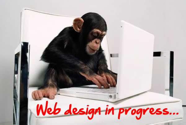 web design sito web 