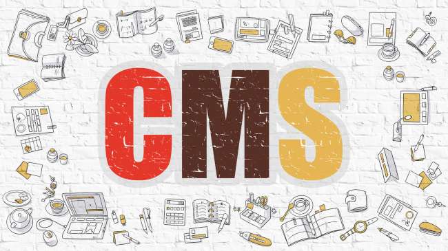 L'utilizzo dei CMS nel mondo