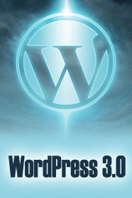 WordPress 3.0